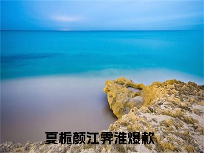 夏栀颜江霁淮（夏栀颜江霁淮）免费阅读完整版-夏栀颜江霁淮全文大结局已完结