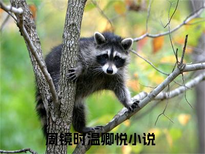 周镜时温卿悦(周镜时温卿悦)全文免费阅读无弹窗大结局_(周镜时温卿悦小说全文大结局)最新章节列表_笔趣阁（周镜时温卿悦）