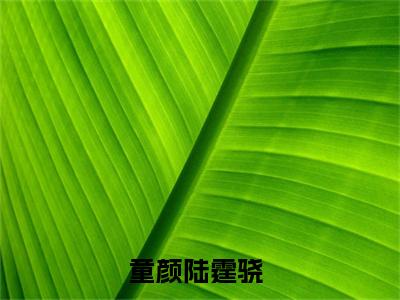 童颜陆霆骁（童颜陆霆骁）全文免费阅读最新章节_童颜陆霆骁大结局精彩阅读_笔趣阁