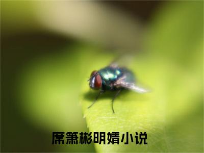 席箫彬明婧小说（席箫彬明婧）全文免费阅读无弹窗大结局_席箫彬明婧全文免费阅读无弹窗最新章节列表笔趣阁（席箫彬明婧）