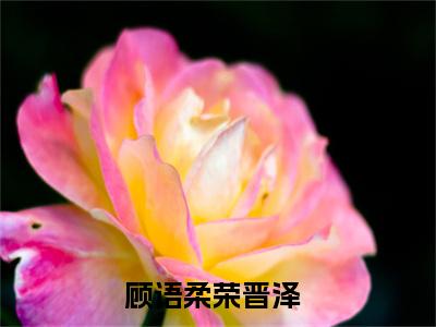 顾语柔荣晋泽免费小说-顾语柔荣晋泽完结版在线阅读