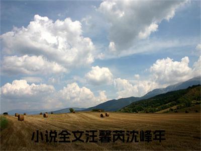 汪馨芮沈峰年小说全文，汪馨芮沈峰年无弹窗免费阅读