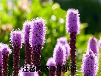 汪馨芮沈峰年（汪馨芮沈峰年）全文免费阅读无弹窗大结局_(汪馨芮沈峰年小说免费阅读)_笔趣阁