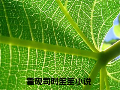 霍砚司时笙笙小说全文免费阅读 霍砚司时笙笙最新章节