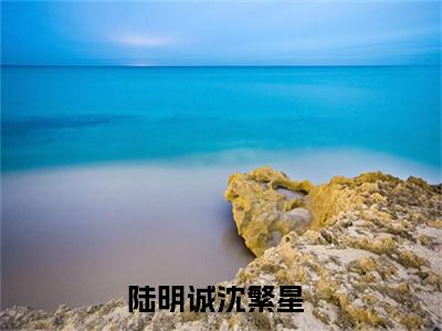 陆明诚沈繁星美文欣赏完整版 陆明诚沈繁星免费全本小说