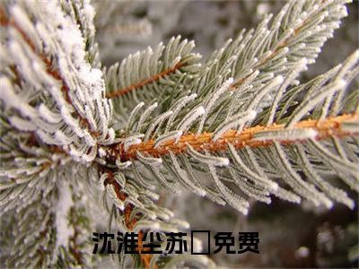 沈淮尘苏玥小说全文免费阅读-（沈淮尘苏玥）抖音新书热荐沈淮尘苏玥全文免费阅读