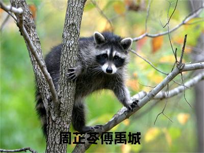 周芷苓傅禹城小说（周芷苓傅禹城）全文免费阅读无弹窗大结局_周芷苓傅禹城最新章节列表_笔趣阁