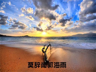 男女主人公莫辞闻郭海雨小说搞笑莫辞闻郭海雨全文免费阅读