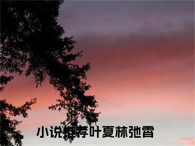 叶夏林弛霄（叶夏林弛霄）小说-叶夏林弛霄小说免费阅读