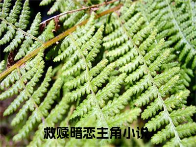 姜时芊陆知念全文免费阅读（救赎暗恋）全文免费阅读大结局_姜时芊陆知念全文免费阅读无弹窗_笔趣阁（救赎暗恋）