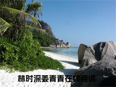 林时深姜青青全文（林时深姜青青）抖音热推小说全集无删减_林时深姜青青免费最新章节列表_笔趣阁