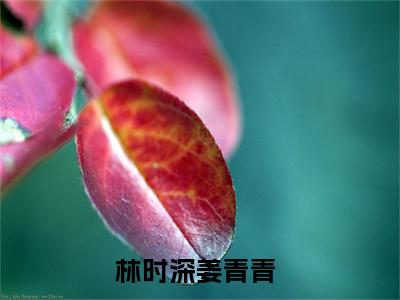 热文（林时深姜青青）美文阅读_热门小说林时深姜青青主人公是（林时深姜青青）最新章节最新章节列表_笔趣阁