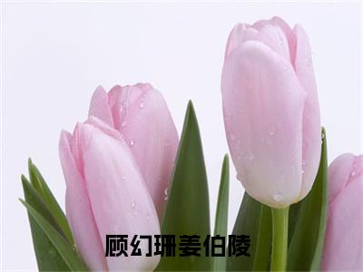 《顾幻珊姜伯陵》全文免费阅读最新章节大结局-顾幻珊姜伯陵 全文全章节免费阅读