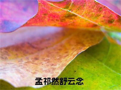 热度超高孟祁然舒云念小说-小说完整版全文资源阅读