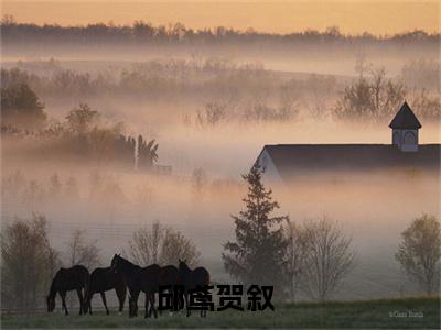 邱鸢贺叙（邱鸢贺叙）全文免费阅读无弹窗大结局_邱鸢贺叙最新章节列表_