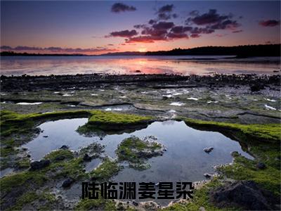 陆临渊姜星染（陆临渊姜星染）完整版小说阅读_陆临渊姜星染全文免费阅读笔趣阁（陆临渊姜星染）