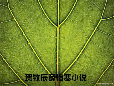 2023新上热文贺牧辰薛惜寒-贺牧辰薛惜寒小说在线阅读