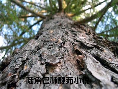 陆承己林静茹小说（陆承己林静茹）免费观看-陆承己林静茹高质量小说推荐阅读