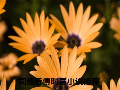 司洛音傅时言全文（司洛音傅时言）完整版小说阅读_司洛音傅时言全本列表免费笔趣阁（司洛音傅时言）