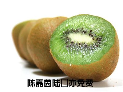 陈嘉茵陆璟亦抖音完结版阅读《陈嘉茵陆璟亦》最新章节目录好书推荐_(陈嘉茵陆璟亦)