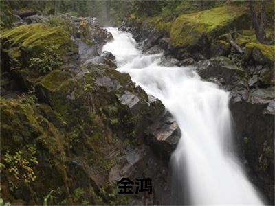 （金鸿）是什么小说-今天女王逃出星际了吗（金鸿）免费阅读大结局最新章节列表_笔趣阁