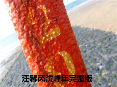 汪馨芮沈峰年（汪馨芮沈峰年）全文免费阅读无弹窗_汪馨芮沈峰年最新小说_笔趣阁