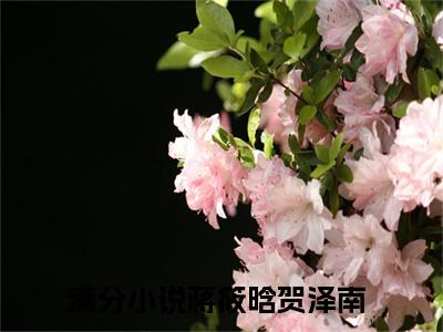 蒋筱晗贺泽南小说免费阅读无弹窗大结局,蒋筱晗贺泽南最新章节列表