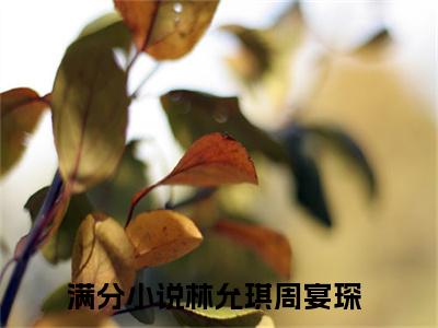 林允琪周宴琛完结版阅读《林允琪周宴琛》最新章节目录好书推荐_(林允琪周宴琛)