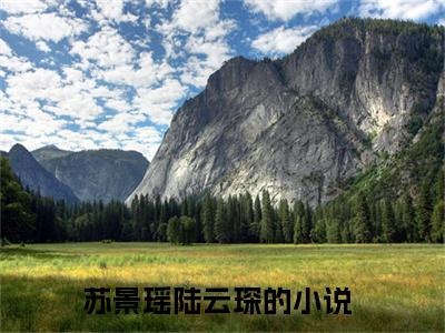 苏景瑶陆云琛（苏景瑶陆云琛）全文阅读完整版_苏景瑶陆云琛（苏景瑶陆云琛）小说免费阅读大结局无删减（苏景瑶陆云琛）