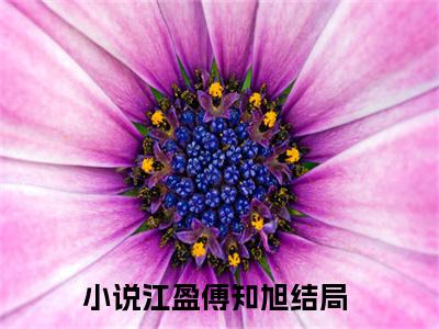 江盈傅知旭小说免费阅读-江盈傅知旭全文小说全章节阅读