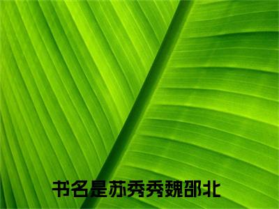 苏秀秀魏邵北全网首发小说-苏秀秀魏邵北无广告免费试读