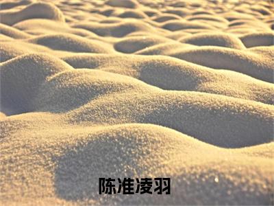 陈准凌羽（多雨之地）小说全文免费阅读无弹窗-陈准凌羽小说全文免费阅读大结局笔趣阁