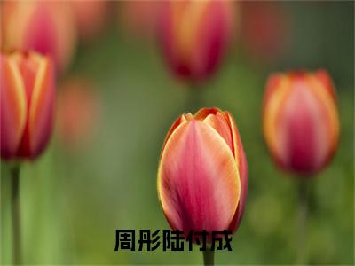 周彤陆付成免费阅读无弹窗，周彤陆付成小说大结局全文免费阅读