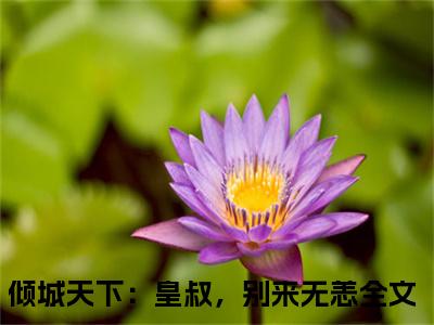 倾城天下：皇叔，别来无恙（风昊天盛芷荷）全文免费阅读无弹窗大结局_倾城天下：皇叔，别来无恙风昊天盛芷荷_笔趣阁