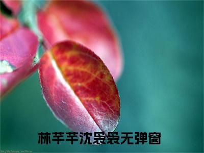 林芊芊沈袅袅主角是林芊芊沈袅袅全文免费阅读无弹窗-林芊芊沈袅袅最新章节列表-笔趣阁