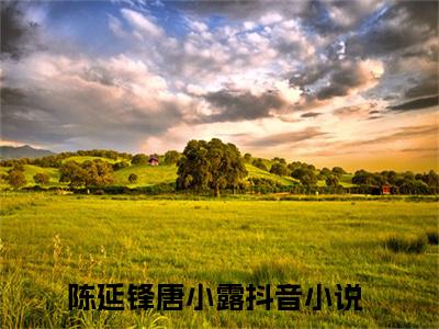 陈延锋唐小露全网首发完整小说主角陈延锋唐小露在线阅读