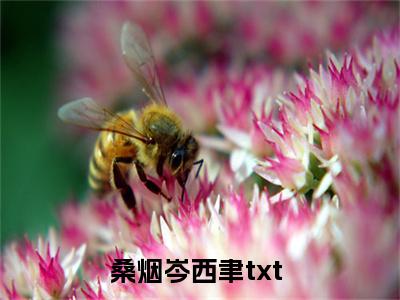 桑烟岑西聿（桑烟岑西聿）全文免费阅读无弹窗大结局_(桑烟岑西聿最新章节在线阅读)_笔趣阁