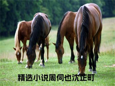 周伺也沈芷町（周伺也沈芷町）全文免费阅读无弹窗大结局_周伺也沈芷町最新章节列表_笔趣阁（周伺也沈芷町）