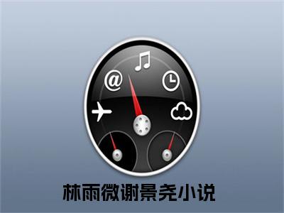 林雨微谢景尧（林雨微谢景尧）小说免费在线阅读_林雨微谢景尧全本免费小说阅读（林雨微谢景尧）