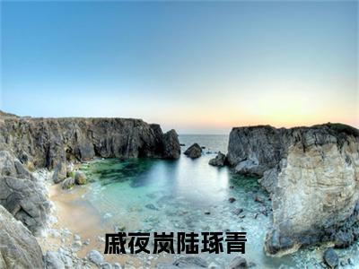 戚夜岚陆琢青知乎高赞小说阅读 戚夜岚陆琢青无弹窗在线免费阅读