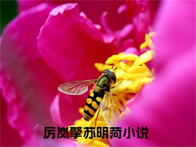 厉岚擎苏明菏小说全文免费阅读（厉岚擎苏明菏）全文免费阅读无弹窗_厉岚擎苏明菏小说全文免费阅读_笔趣阁（厉岚擎苏明菏）