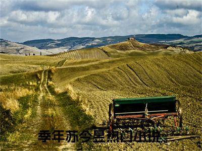 季年苏今昱小说免费阅读（季年苏今昱）全文免费阅读无弹窗大结局_季年苏今昱小说免费阅读最新章节列表_笔趣阁（季年苏今昱）