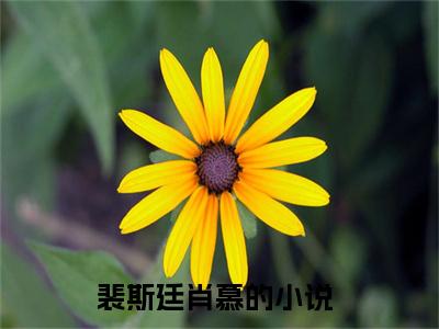 裴斯廷肖慕小说（裴斯廷肖慕）全文免费阅读无弹窗大结局_（裴斯廷肖慕）结局最新章节列表_笔趣阁