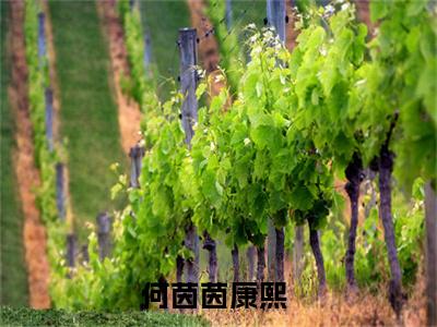 何茵茵康熙免费阅读(何茵茵康熙)小说全文免费阅读无弹窗大结局_(何茵茵康熙)最新章节列表_笔趣阁(何茵茵康熙)