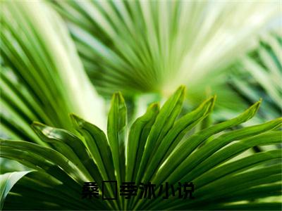 桑婈季沐（桑婈季沐）热门小说盘点在线阅读-桑婈季沐小说无弹窗