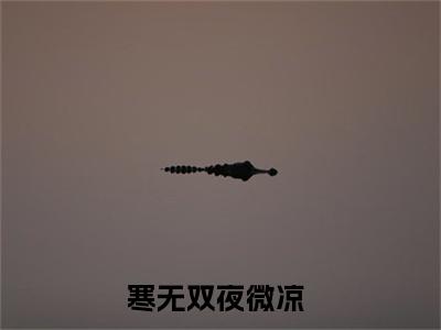 寒无双夜微凉抖音热推新书小说全文阅读 （寒无双夜微凉）全文免费阅读大结局