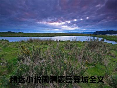 周清颖岳霖城小说全文-周清颖岳霖城最新章节免费阅读周清颖岳霖城小说