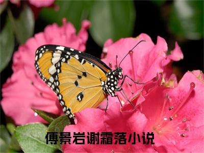 傅景岩谢霜落榜单小说全文免费阅读无弹窗大结局-傅景岩谢霜落全文在线阅读