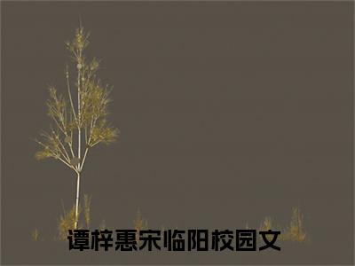 谭梓惠宋临阳（谭梓惠宋临阳）无广告免费阅读-小说谭梓惠宋临阳最后结局如何