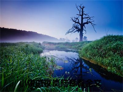 戚夜岚陆琢青（戚夜岚陆琢青）全文免费阅读无弹窗大结局_（戚夜岚陆琢青全文免费阅读无弹窗）戚夜岚陆琢青最新章节列表_笔趣阁（戚夜岚陆琢青）